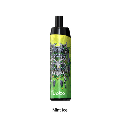 5000 zaciągnięć Jednorazowe akcesoria do palenia Vape 14 ml Ejuice 650 mAh Bateria Mint Ice dla USA Wielka Brytania Hiszpania Niemcy Francja