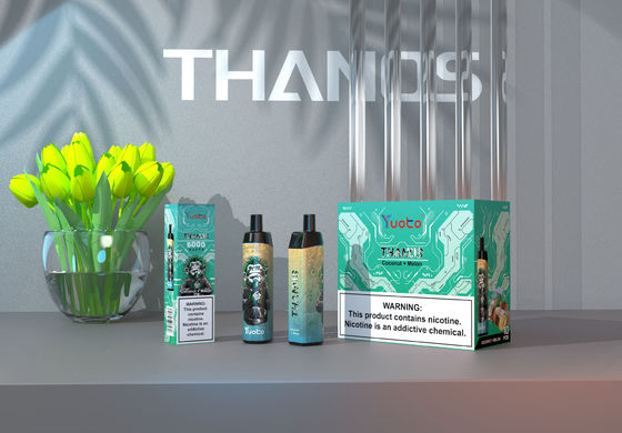 20 Hot Flavours 5000 Puffs Mesh Coil Jednorazowy Vape 14 ml E Liquid 650 mAh Bateria